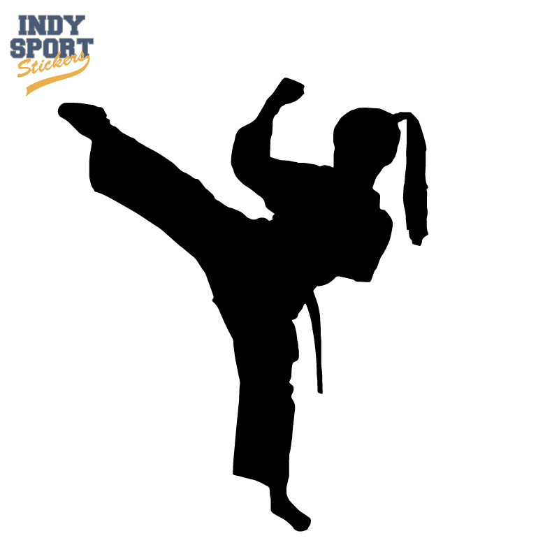 Download Martial Arts Karate Female Girl Kicking Silhouette - Car ...